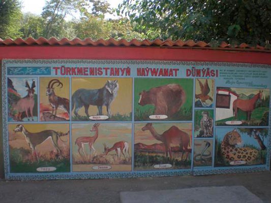 Travel to Turkmenistan - Museum of Wildlife of Turkmenistan - Elite Tours  International