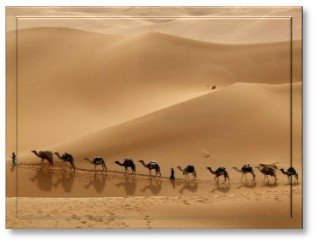 Great Silk Road-Caravan Route 5 d_01